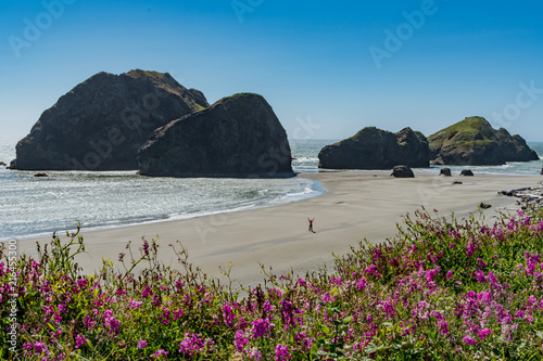Fototapeta Naklejka Na Ścianę i Meble -  Person Power Poses on Meyers Beach on Oregon Coast