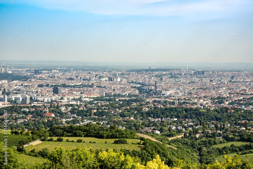 Vienna, the capital of Austria, seen from a hill