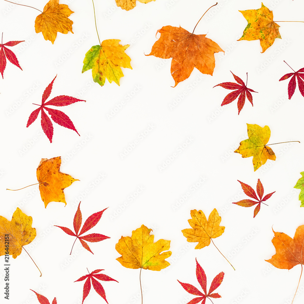 Fototapeta premium Autumn frame of fall yellow and red leaves on white background. Flat lay, top view.