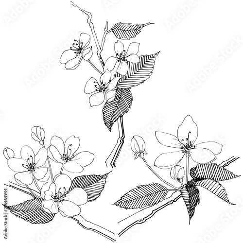 Apple tree in a vector style isolated. Full name of the plant: Apple tree. Vector flower for background, texture, wrapper pattern, frame or border.