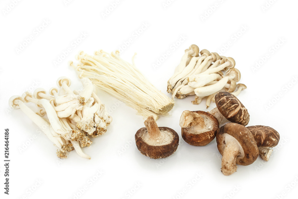 group mushrooms on white background. group mushrooms on white background.