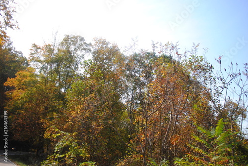 Deal's Gap/The Dragon/Cherohala Skyway 1 photo