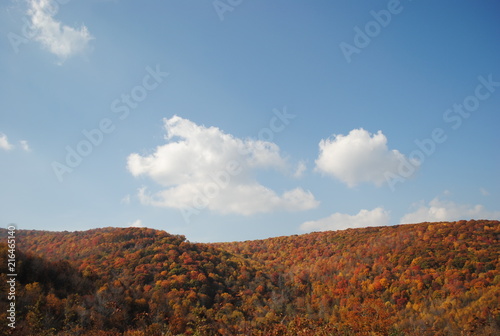 Deal's Gap/The Dragon/Cherohala Skyway 1 © Julie Deonna Crider