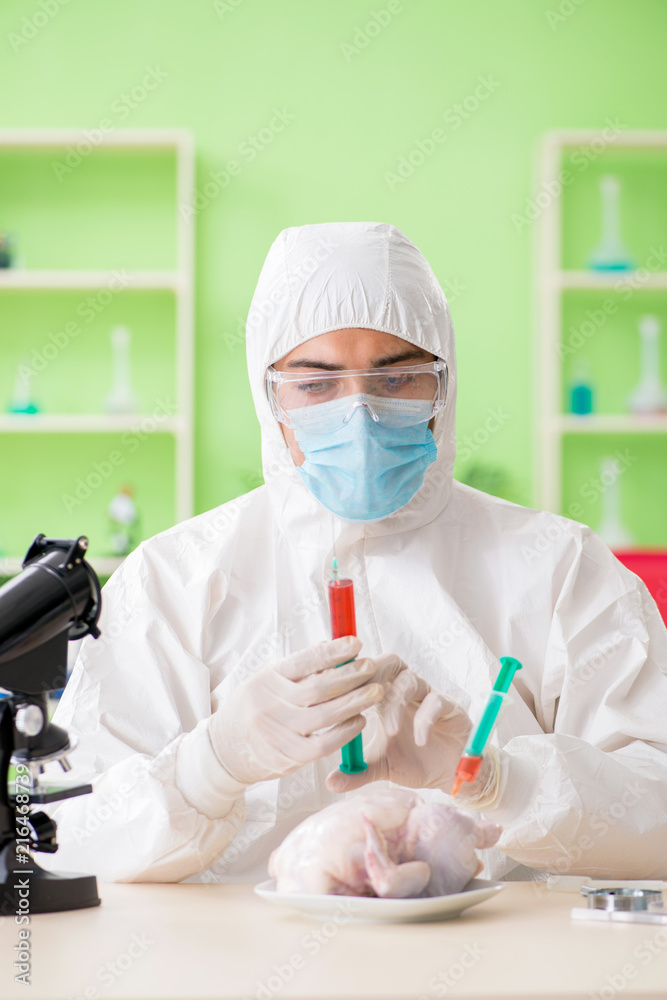 Lab assistant testing GMO chicken Lab assistant testing GMO chicken