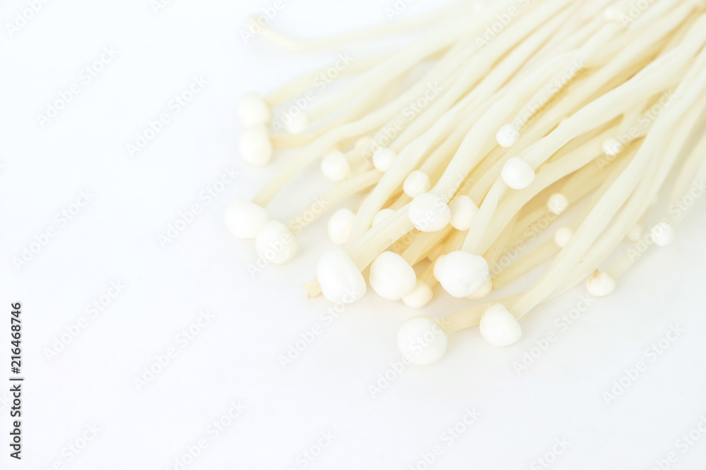 mushrooms on white background. mushrooms on white background.