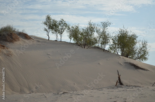 Monahan's Sandhills State Park, TX

Unspoiled sand dune