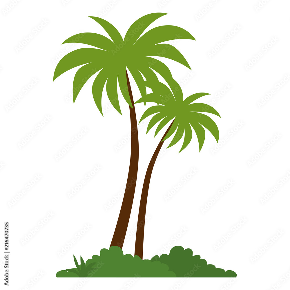 Obraz premium tree palms isolated icon