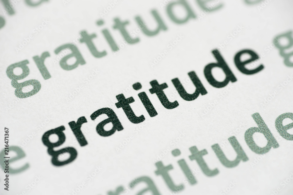 Fototapeta premium word gratitude printed on paper macro