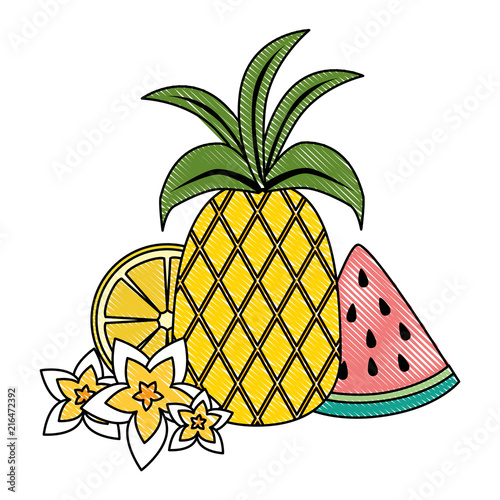 watermelon sliced with pineapple and snail shell