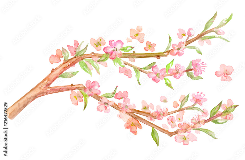 Obraz premium card with blossom branch of almond. watercolor painting