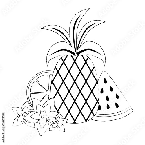 watermelon sliced with pineapple and snail shell