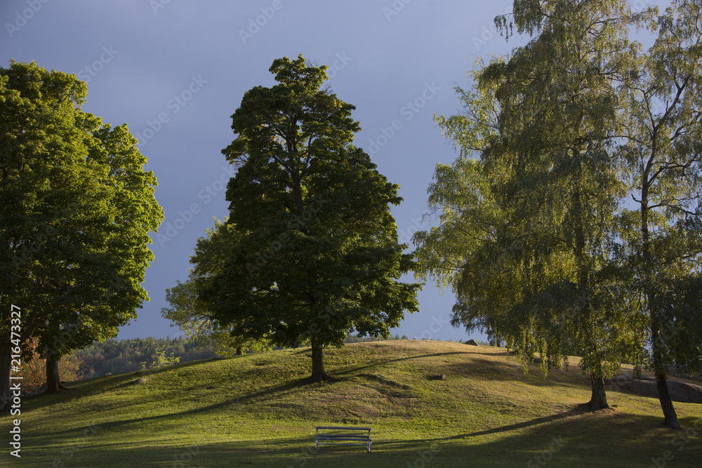 Small hill with trees in the evening a t the lake Mälaren i Stockholm Small hill with trees in the evening a t the lake Mälaren i Stockholm