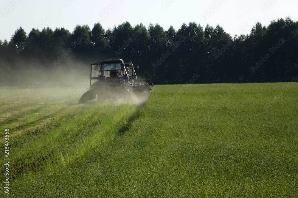 Fototapeta premium Flax field during harvest at summer day. Agricultural machinery in operation.