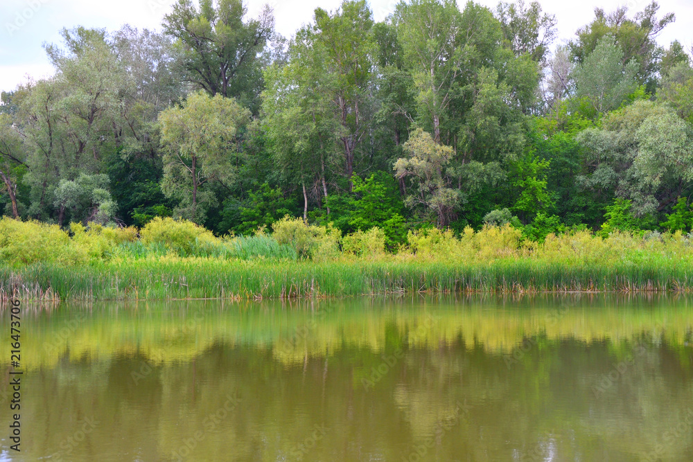 Morning on the river