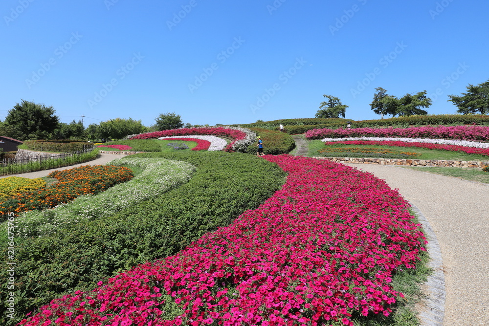 Obraz premium 夏の馬見丘陵公園