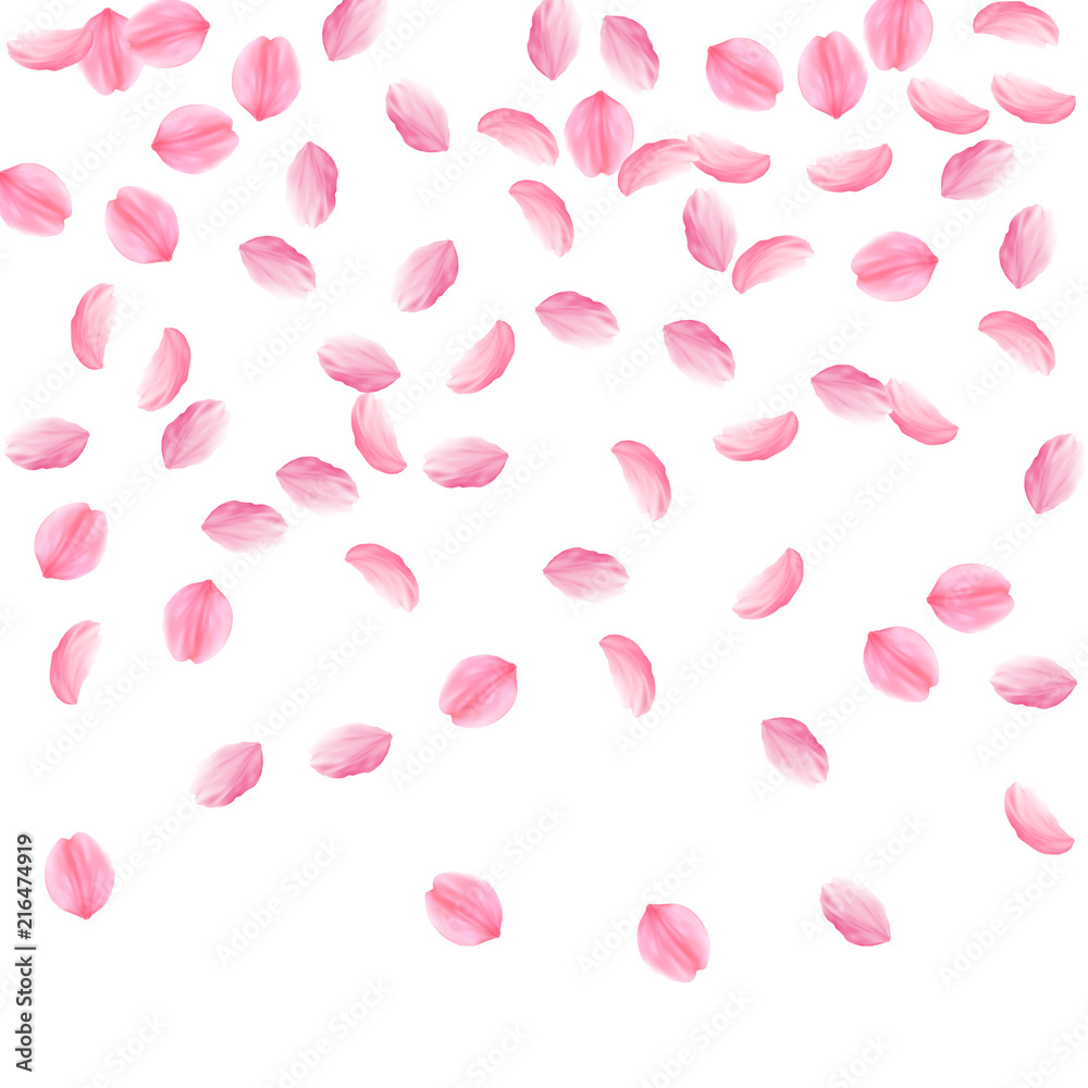 Sakura petals falling down. Romantic pink silky medium flowers. Sparse flying cherry petals. Top gra