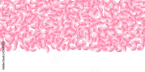 Sakura petals falling down. Romantic pink bright big flowers. Thick flying cherry petals. Wide top g