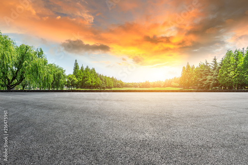 Empty asphalt road and green forest landscape at sunset