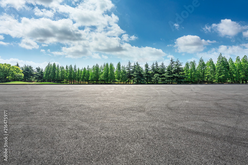 Canvas Print Empty asphalt road and green forest landscape