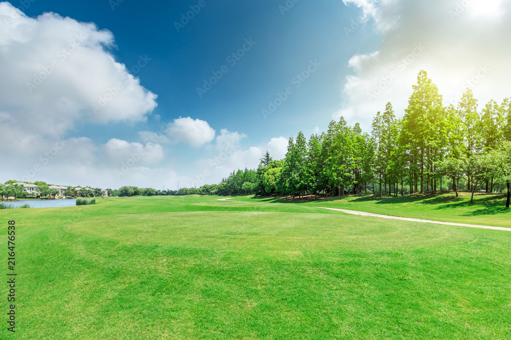 Green grass and trees scenery in summer Green grass and trees scenery in summer