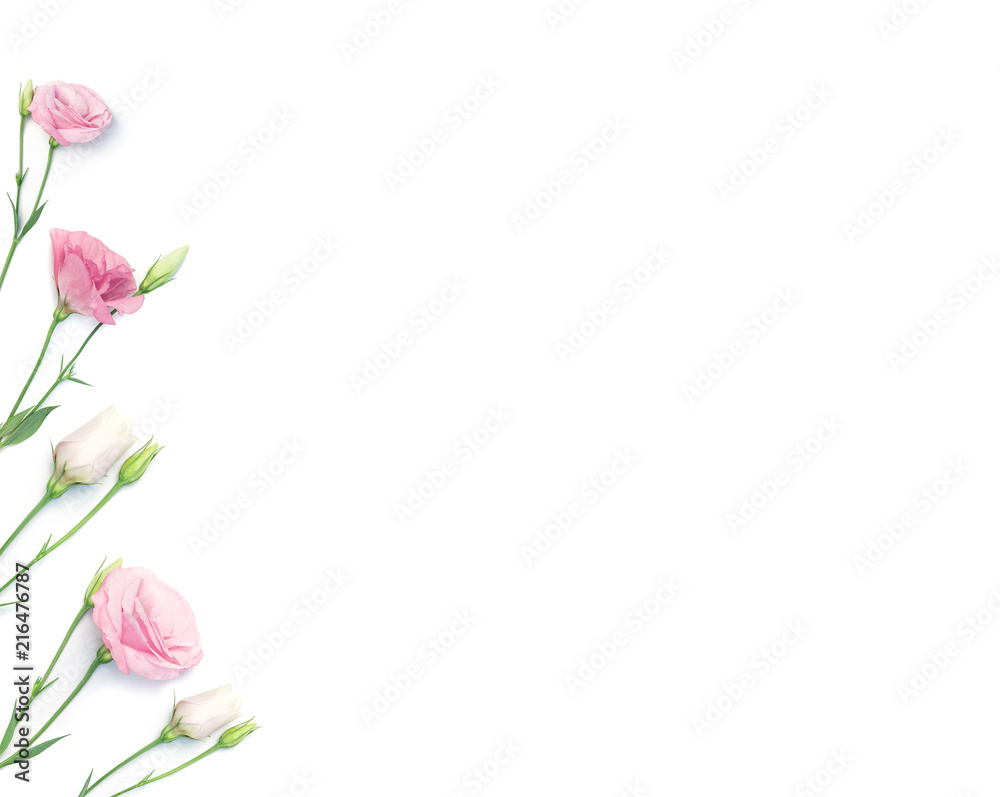 Floral frame or border of eustoma flowers isolated on white background