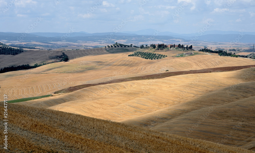 Tuscany, Italy, hilly landscape near A Siena with farms in the distance