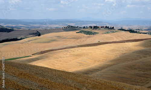 Tuscany  Italy  hilly landscape near A Siena with farms in the distance