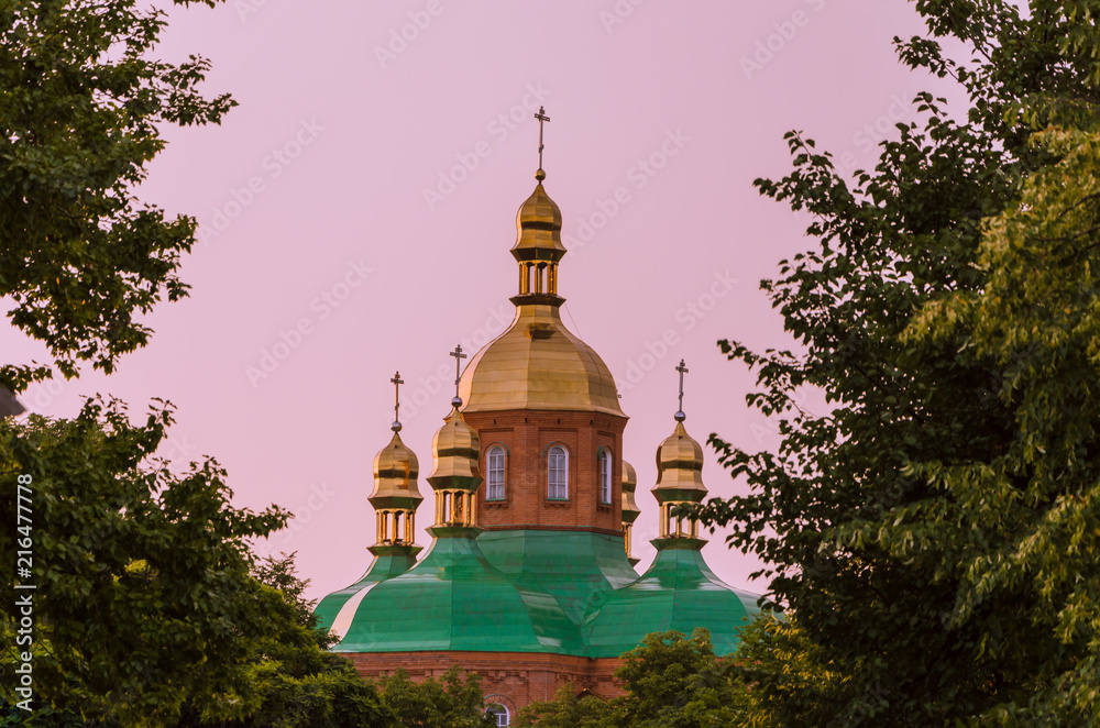 The dome of the church behind the branches of trees