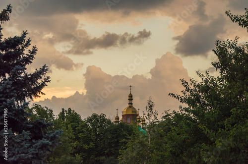 The dome of the church behind the branches of trees photo