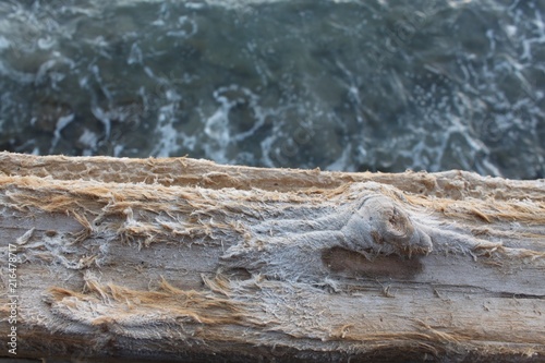 Moody weathered wood ocean