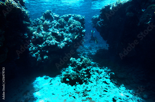 Fototapeta Naklejka Na Ścianę i Meble -  a man is swimming among coral reefs