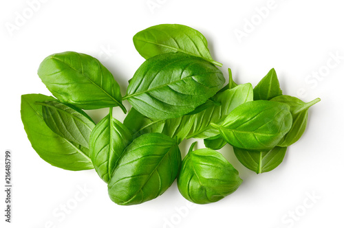 Basil leaves isolated on white, from above