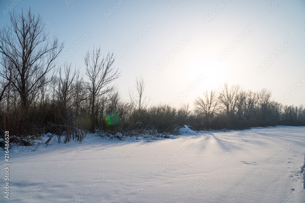 Winter Sun in the frosty air above the forest