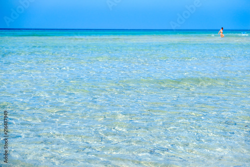Fototapeta Naklejka Na Ścianę i Meble -  transparent water crystalline sea in Maldive del Salento Apulia Italy