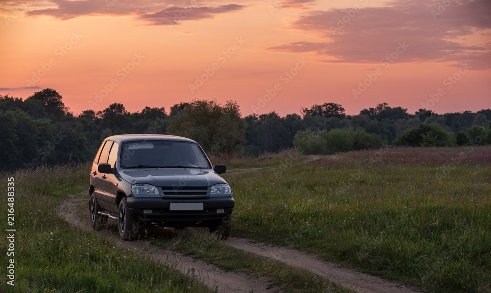 Fototapeta premium car in the meadow