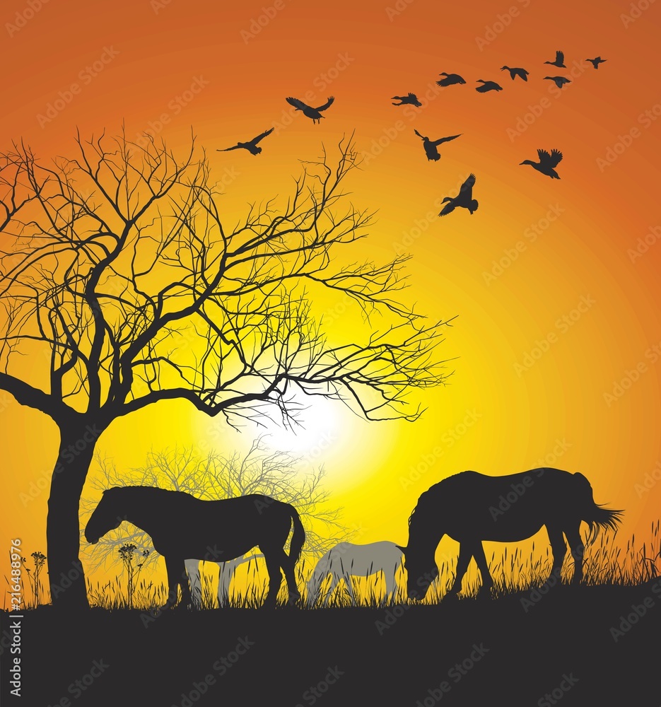  Horses on Sunset Background 