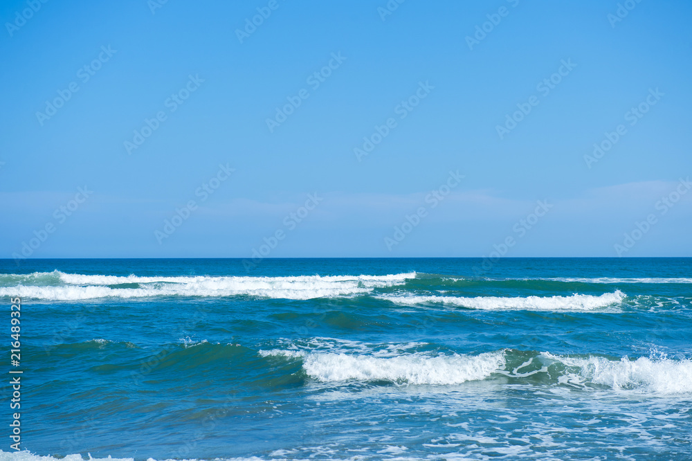 入野海岸 入野海岸