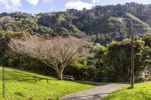 View of Wellington Botanic Garden.