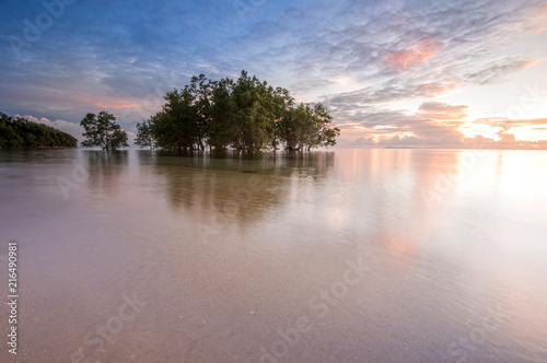seascape with isolated trees on the water during sunrise. soft focus due to long expose.