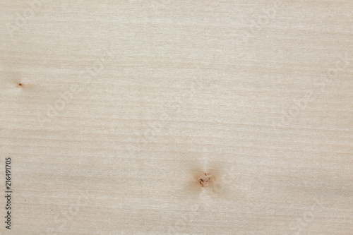 Natural white maple veneer texture for your design.