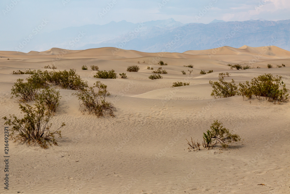 Mesquite sand dunes in Death Valley National Park, California Mesquite sand dunes in Death Valley National Park, California