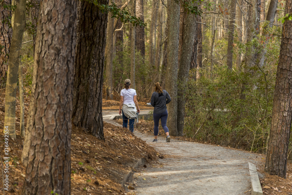 Hiking on a trail path in a forest