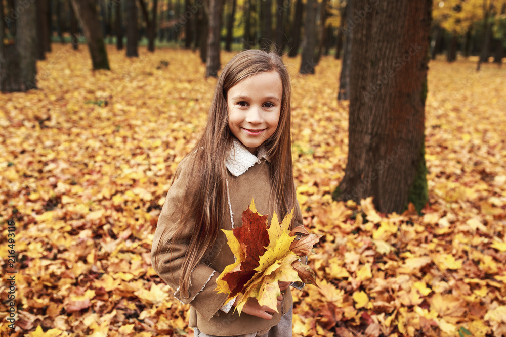 Six Year Old Girl Hiding Behind Large Maple Leaf In Autumn park Six Year Old Girl Hiding Behind Large Maple Leaf In Autumn park