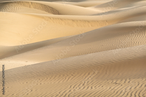 Fototapeta Naklejka Na Ścianę i Meble - Beautiful sand dune in Thar desert, Jaisalmer, Rajasthan, India.