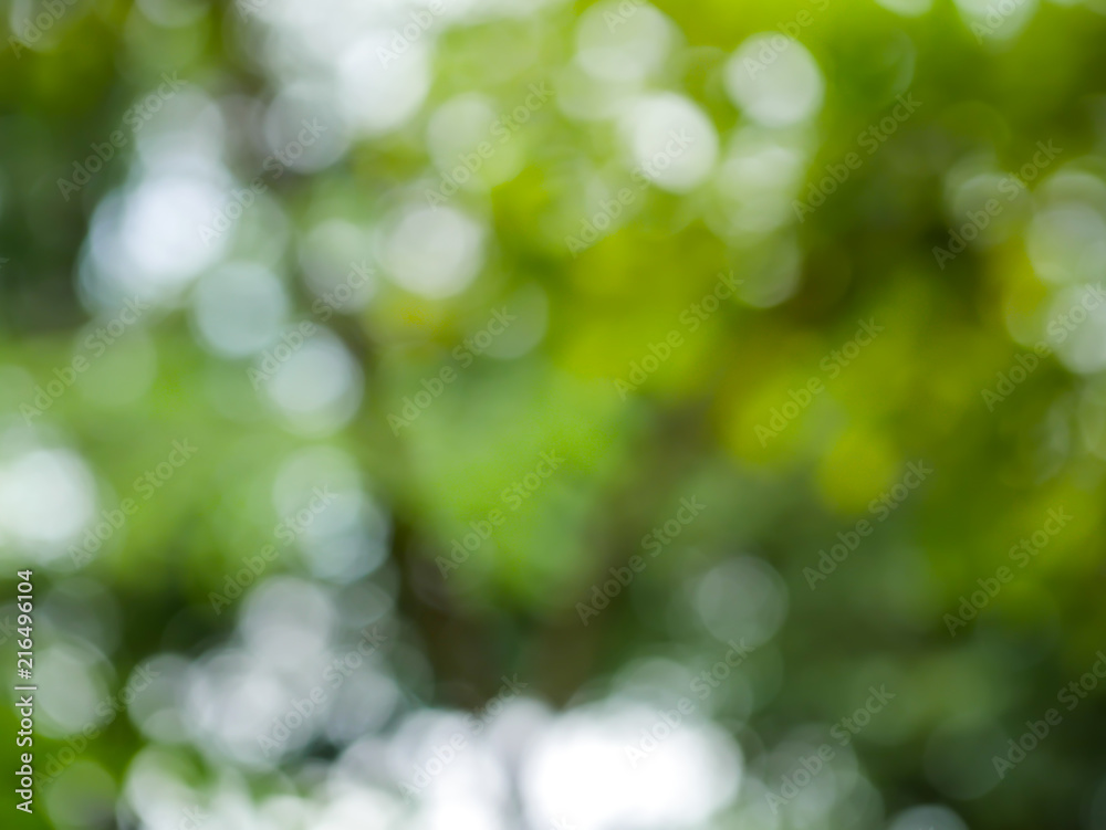 Bokeh background blur. Bokeh background blur.