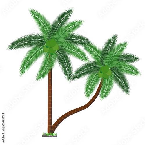 coconut tree vector design