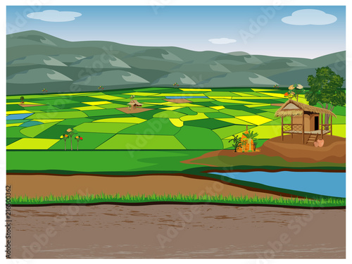 large paddy field vector design