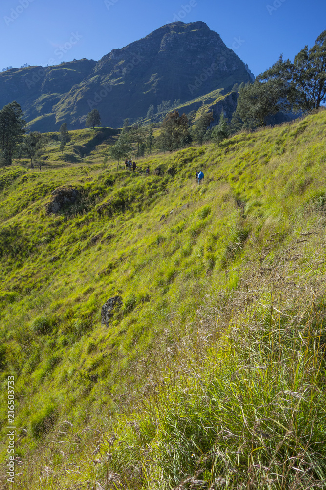 Fototapeta premium Rinjani mountain range, Lombok, Indonesia.