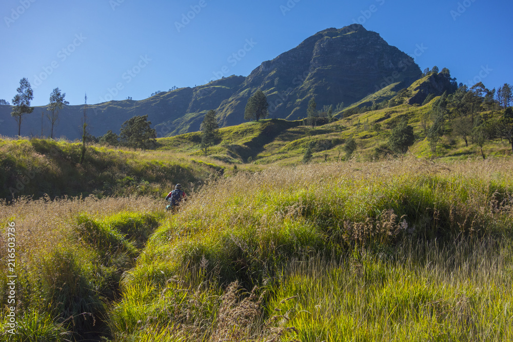 Fototapeta premium Rinjani mountain range, Lombok, Indonesia.