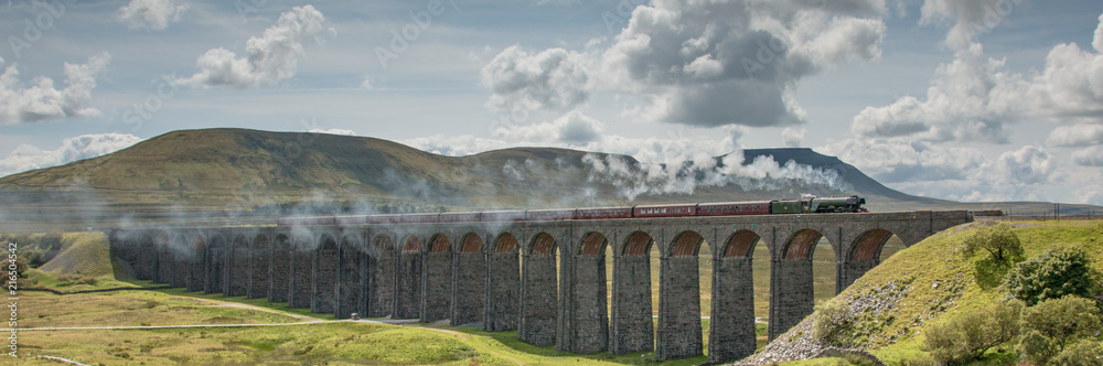 Obraz premium flying scotsman on the ribblehead viaduct